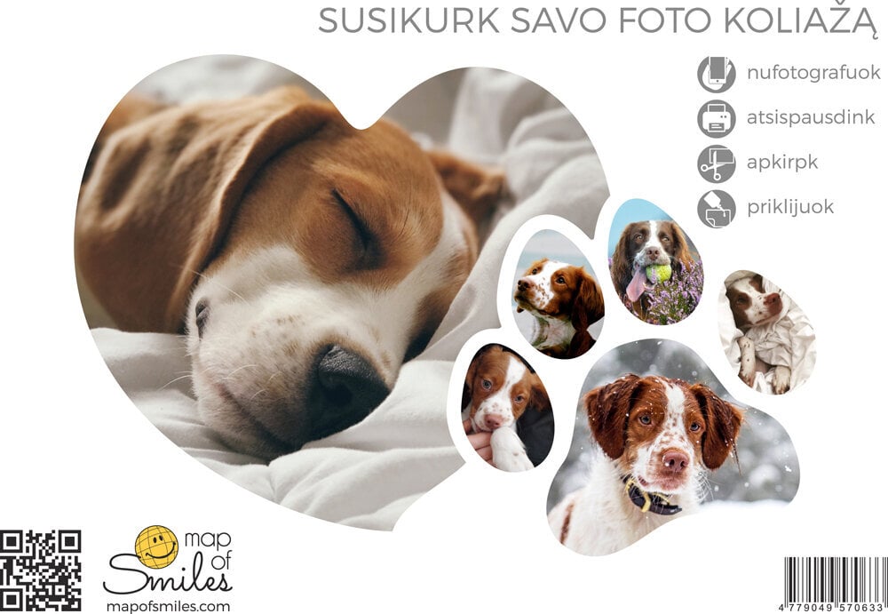 Nuotraukų rėmelis/koliažas PETS цена и информация | Žemėlapiai | pigu.lt