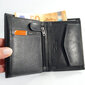 Vyriška piniginė Pierre Cardin kaina ir informacija | Vyriškos piniginės, kortelių dėklai | pigu.lt