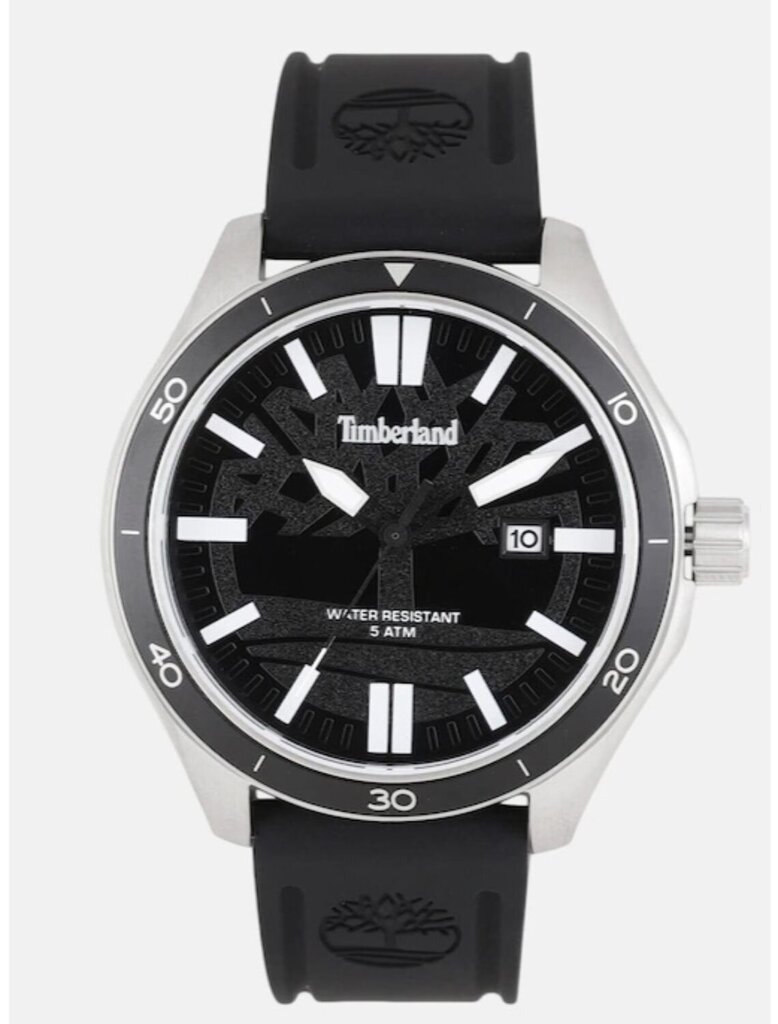 Vyriškas laikrodis TBL, 15418JSTB.02P цена и информация | Vyriški laikrodžiai | pigu.lt