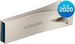 Samsung BarPlus 64 GB kaina ir informacija | USB laikmenos | pigu.lt