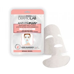 Тканевая маска для лица и шеи Dermolab Anti EtaPlus+ 1 шт цена и информация | Маски для лица, патчи для глаз | pigu.lt