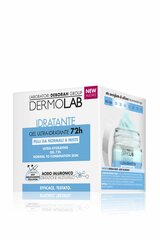 Увлажняющий гель-крем для лица Dermolab Idratante 50 мл цена и информация | Кремы для лица | pigu.lt