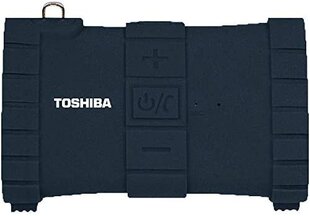 Toshiba Sonic Dive 2 TY-WSP100, черный цена и информация | Аудиоколонки | pigu.lt