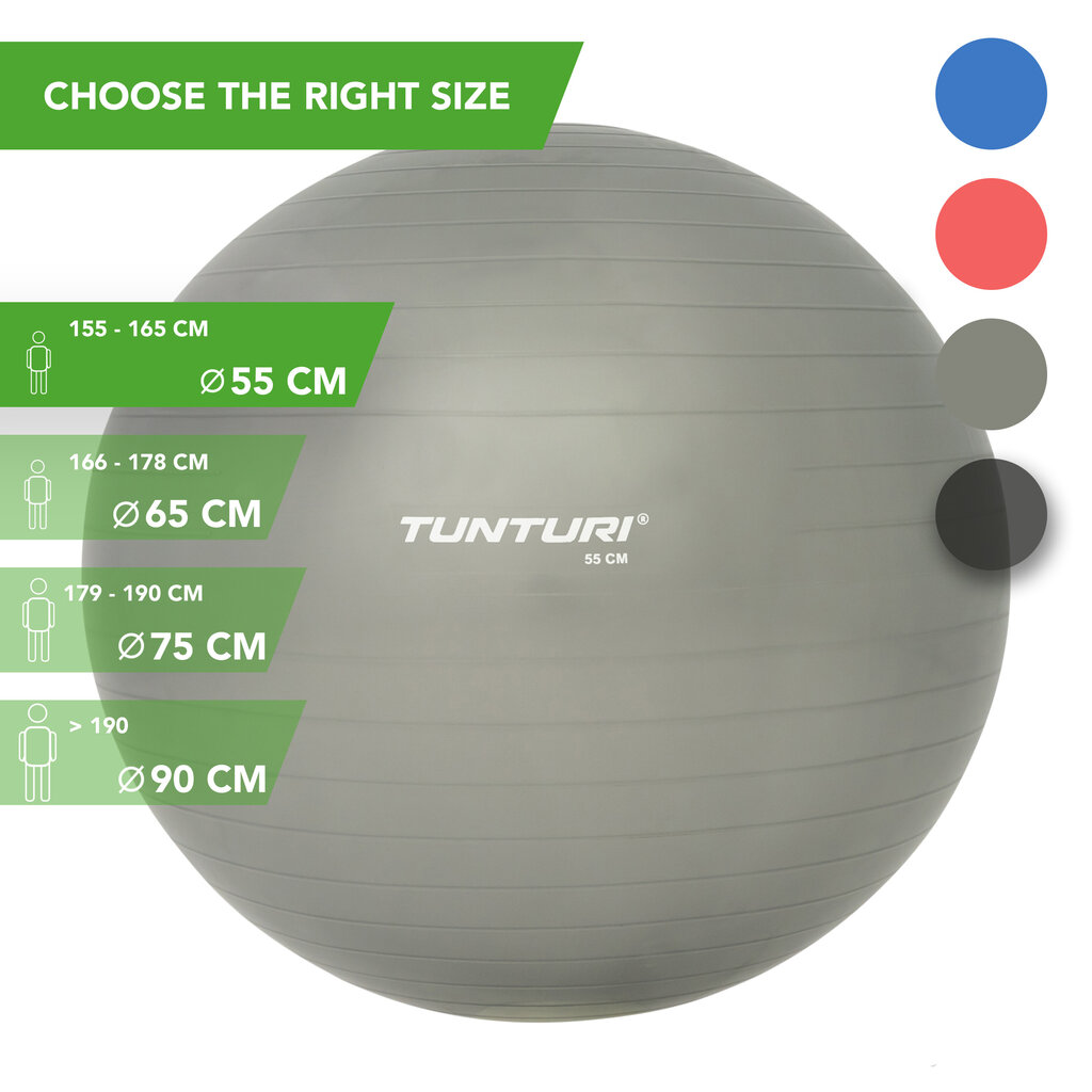 Gimnastikos kamuolys su pompa Tunturi, sidabrinės spalvos kaina ir informacija | Gimnastikos kamuoliai | pigu.lt