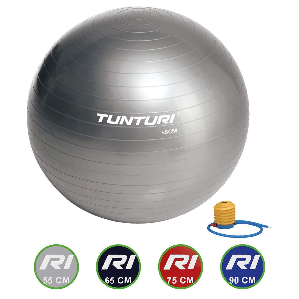 Gimnastikos kamuolys su pompa Tunturi, sidabrinės spalvos kaina ir informacija | Gimnastikos kamuoliai | pigu.lt