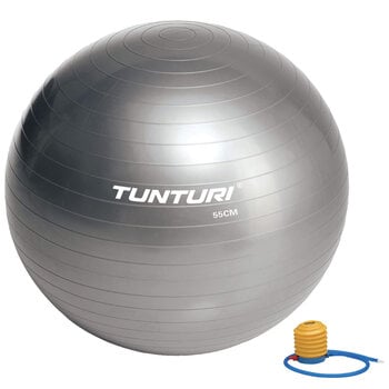 Гимнастический мяч Tunturi с насосом, серебряного цвета цена и информация | Гимнастические мячи | pigu.lt