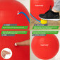 Gimnastikos kamuolys su pompa Tunturi, raudonas kaina ir informacija | Gimnastikos kamuoliai | pigu.lt