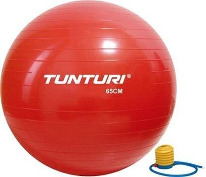 Гимнастический мяч с насосом Tunturi, красный цена и информация | Гимнастические мячи | pigu.lt