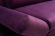 Minkštas kampas Laski Meble Titan, violetinis цена и информация | Minkšti kampai | pigu.lt