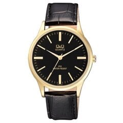 Часы Q&Q C214J102Y цена и информация | Мужские часы | pigu.lt