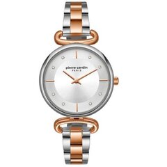 Moteriškas laikrodis Pierre Cardin PC902332F05U kaina ir informacija | Moteriški laikrodžiai | pigu.lt