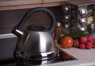 Kinghoff чайник со свистком, 3 л цена и информация | Чайники, кофейники | pigu.lt
