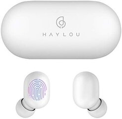 Haylou GT1 White цена и информация | Наушники | pigu.lt