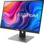 Asus ProArt PA248QV, 24.1" kaina ir informacija | Monitoriai | pigu.lt