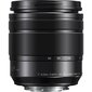 Panasonic LUMIX G Vario 12-60mm f/3.5-5.6 Asph. Power O.I.S (H-FS12060) kaina ir informacija | Objektyvai | pigu.lt