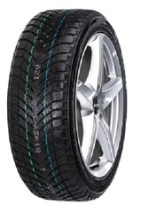 Neolin Neo Winter 205/50R17 93 V XL цена и информация | Зимняя резина | pigu.lt