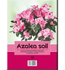 Azalijų gruntas, 4 l kaina ir informacija | Agronomo patarimas Sodo prekės | pigu.lt