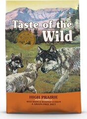 Taste Of The Wild Puppy High Prairie su elniena, 5,6 kg kaina ir informacija | Sausas maistas šunims | pigu.lt