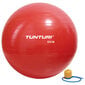 Gimnastikos kamuolys su pompa Tunturi Gymball 55 cm, raudonas цена и информация | Gimnastikos kamuoliai | pigu.lt