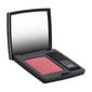 Skaistalai Christian Dior Diorskin Rouge Blush, 6,7 g kaina ir informacija | Bronzantai, skaistalai | pigu.lt