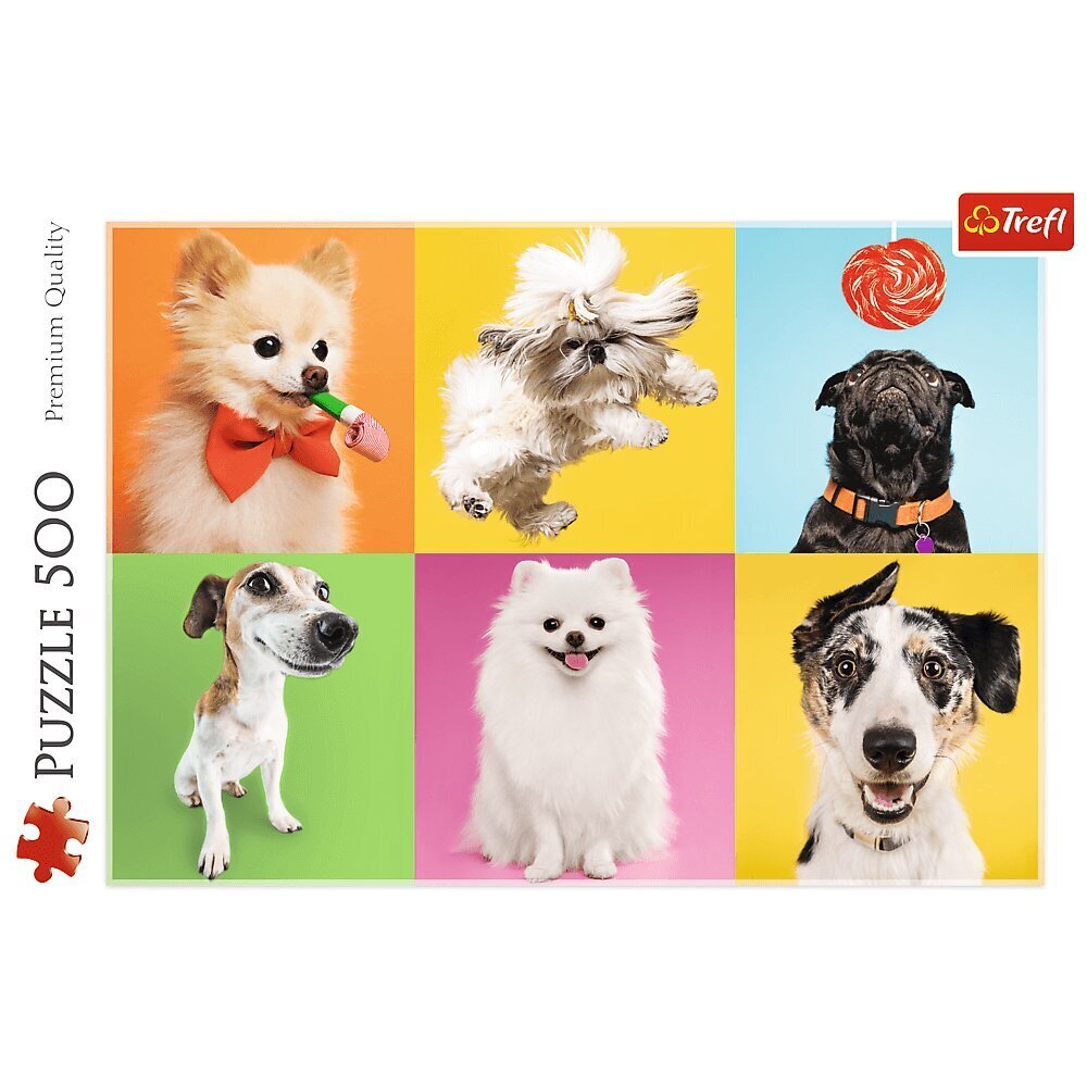 Dėlionė Trefl Puzzle "Šunys“, 500 d. kaina ir informacija | Dėlionės (puzzle) | pigu.lt