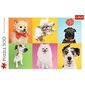 Dėlionė Trefl Puzzle "Šunys“, 500 d. kaina ir informacija | Dėlionės (puzzle) | pigu.lt