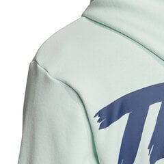 Adidas Джемпер cat Graph Hood Green цена и информация | Мужские толстовки | pigu.lt