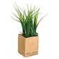 Dirbtinis augalas popierinėje pakuotėje, 21 cm kaina ir informacija | Dirbtinės gėlės | pigu.lt