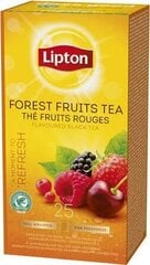 Lipton SPZ861 цена и информация | Чай | pigu.lt