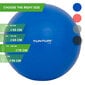 Gimnastikos kamuolys su pompa Tunturi 75cm, mėlynas цена и информация | Gimnastikos kamuoliai | pigu.lt