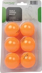 Мячики для настольного тенниса Tunturi, 6 шт. цена и информация | Мячи для настольного тенниса | pigu.lt