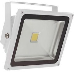 Уличный светодиодный прожектор GX-LED-FL-20W белый цена и информация | Уличные светильники | pigu.lt