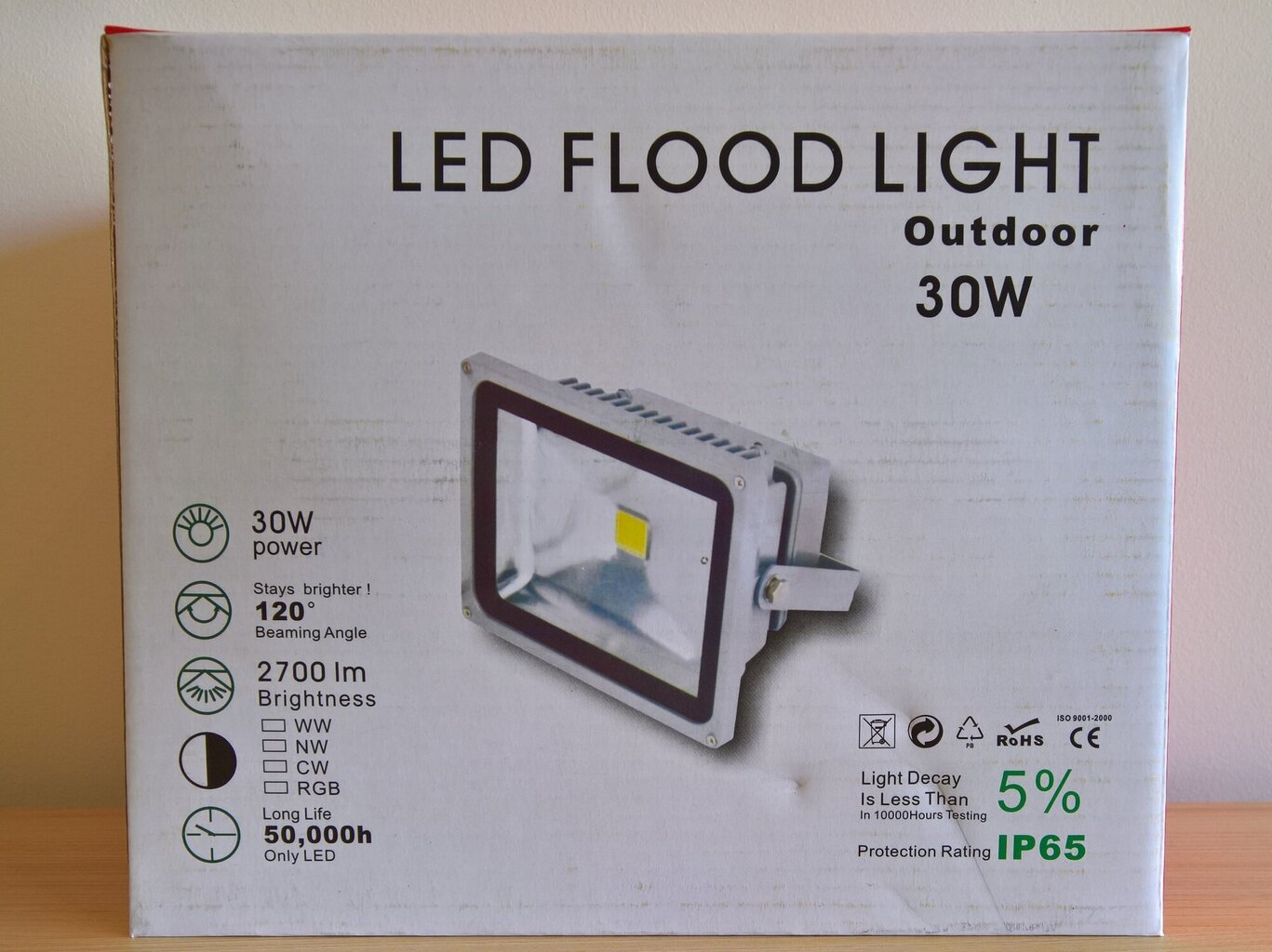 LED lauko prožektorius GX-LED-FL-30W Baltas kaina ir informacija | Lauko šviestuvai | pigu.lt