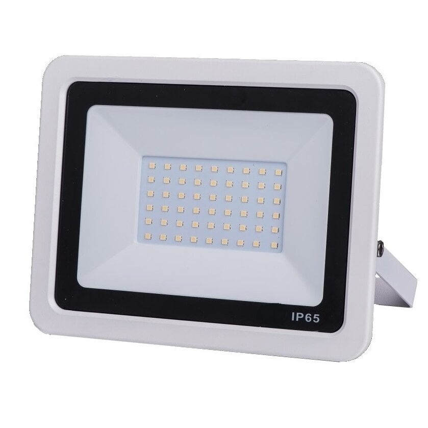 LED lauko prožektorius GR-ECO-FL-10W Baltas kaina ir informacija | Lauko šviestuvai | pigu.lt