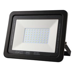 Уличный светодиодный прожектор GR-ECO-FL-10W черный цена и информация | Уличные светильники | pigu.lt