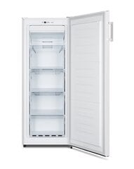 Hisense FV191N4AW1 kaina ir informacija | Šaldikliai, šaldymo dėžės | pigu.lt