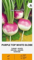 Ropės Purple top white globe kaina ir informacija | Daržovių, uogų sėklos | pigu.lt