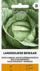 Белокочанная капуста Langedijker dauer цена и информация | Семена овощей, ягод | pigu.lt
