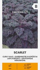 Garbanotieji lapiniai kopūstai Scarlet kaina ir informacija | Daržovių, uogų sėklos | pigu.lt