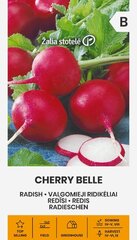 Редис Cherry belle, 5 г цена и информация | Семена овощей, ягод | pigu.lt