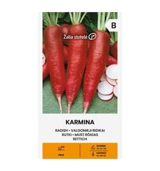 Редька Karmina, 3 г цена и информация | Семена овощей, ягод | pigu.lt