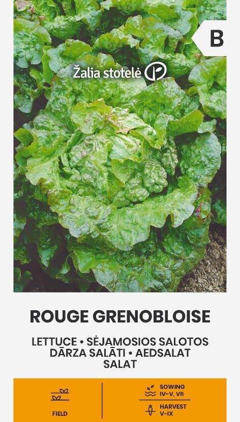 Sėjamosios salotos Rouge grenobloise цена и информация | Daržovių, uogų sėklos | pigu.lt
