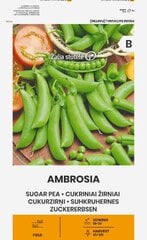 Горох Ambrosia, 30 г цена и информация | Семена овощей, ягод | pigu.lt