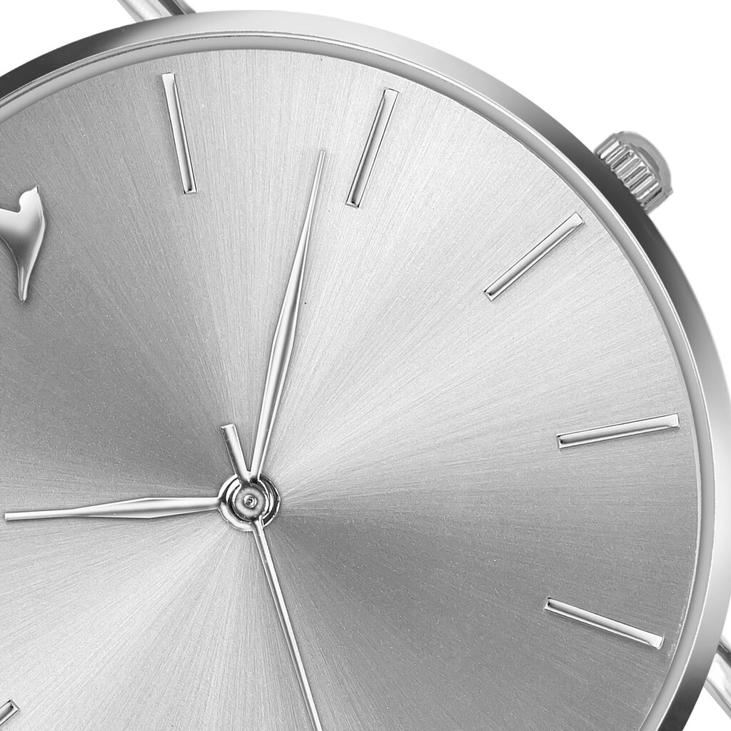 Moteriškas laikrodis Emily Westwood LAL-2518S kaina ir informacija | Moteriški laikrodžiai | pigu.lt