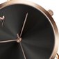 Moteriškas laikrodis Emily Westwood LAI-3214R цена и информация | Moteriški laikrodžiai | pigu.lt