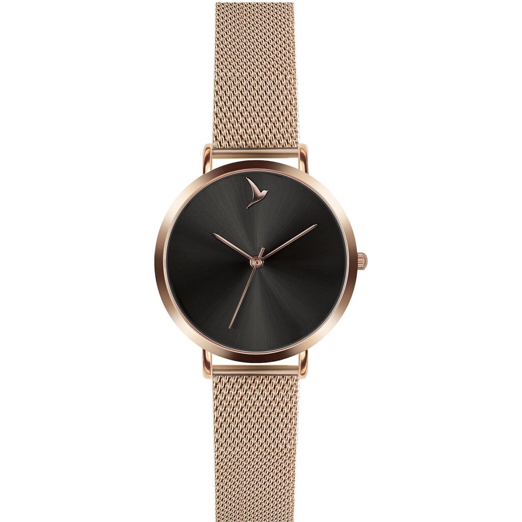 Moteriškas laikrodis Emily Westwood LAI-3214R kaina ir informacija | Moteriški laikrodžiai | pigu.lt