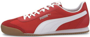 Мужские кроссовки Puma Turino NL цена и информация | Кроссовки для мужчин | pigu.lt