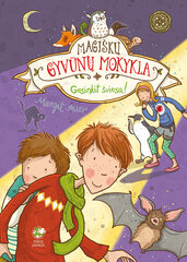 Magiškų gyvūnų mokykla. Gesinkit šviesą! цена и информация | Книги для детей | pigu.lt