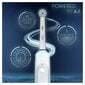 Oral-B Genius X 20100S цена и информация | Elektriniai dantų šepetėliai | pigu.lt