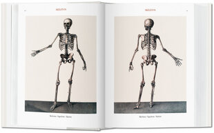 Atlas of Human Anatomy and Surgery цена и информация | Энциклопедии, справочники | pigu.lt